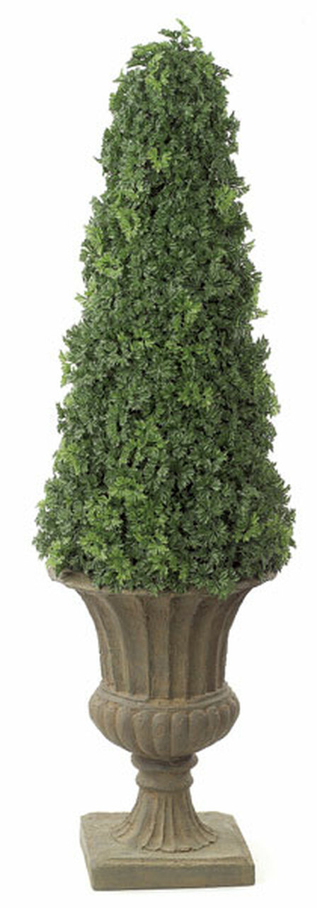 53 inch Polyblend Ming Aralia Cone Topiary